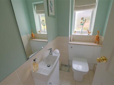 Picture 10